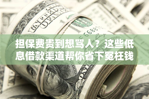 济南担保费贵到想骂人？这些低息借款渠道帮你省下冤枉钱