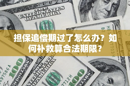 济南担保追偿期过了怎么办？如何补救算合法期限？