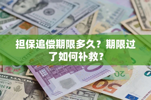 济南担保追偿期限多久？期限过了如何补救？
